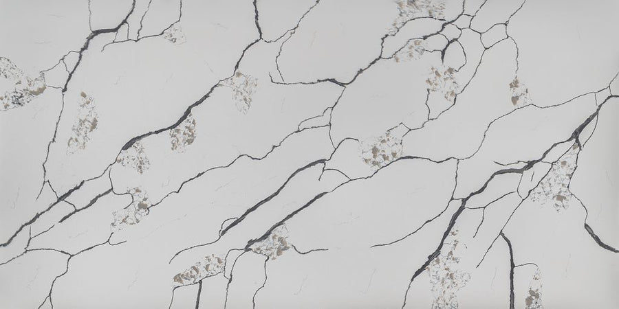 1009 · Calacatta Bianco Antique